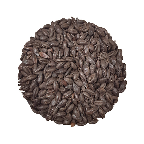 Roast Barley | Crisp